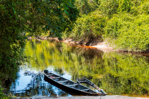 istock Boats anchored at the Yutaje harbor. Amazonas State, Venezuela 1133645240