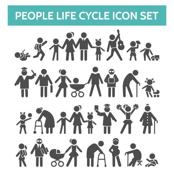 illustrations, cliparts, dessins animés et icônes de graphismes de cycle de vie de personnes - multi generation family isolated people silhouette