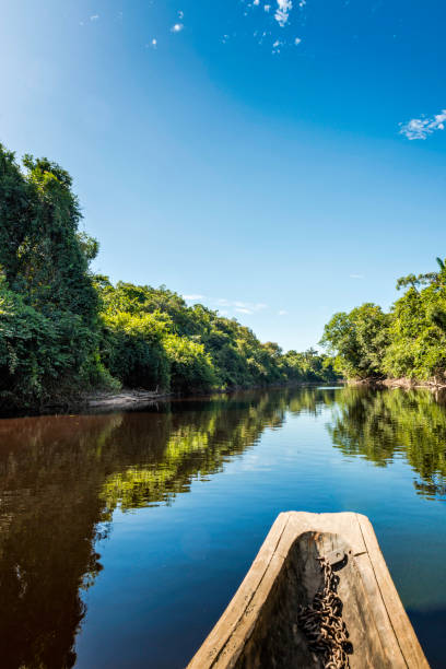 Beautiful blue sky reflecting in the Amazonia Basin river stock photo