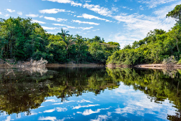 istock Beautiful blue sky reflecting in the Amazonia Basin river 1133645688