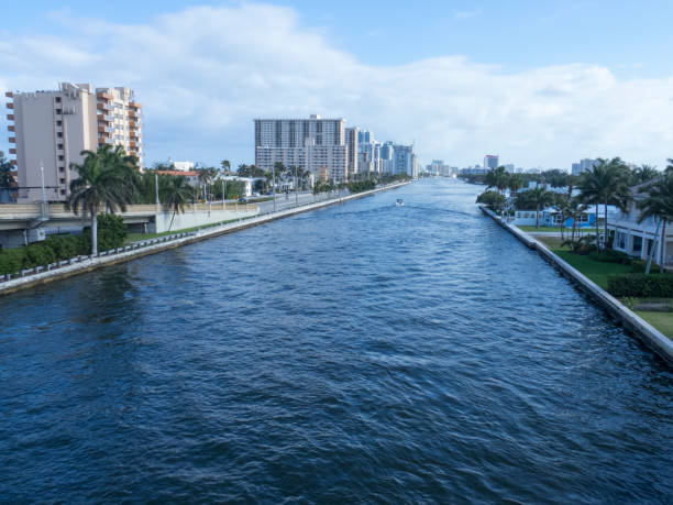 istock Residential area in Miami, Florida 1133645697