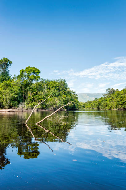 istock Beautiful blue sky reflecting in the Amazonia Basin river 1133645859