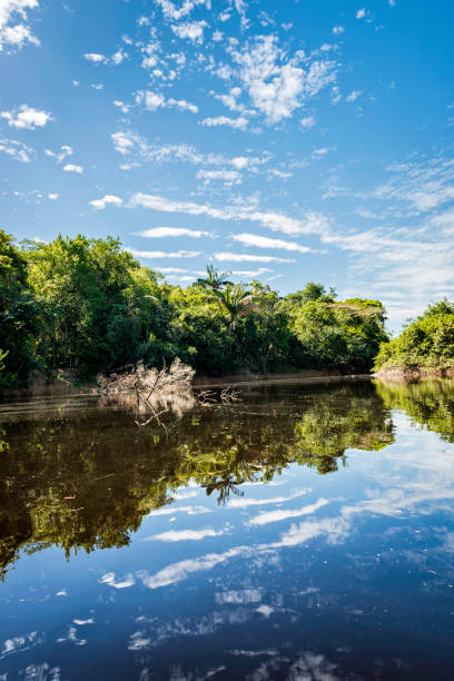 istock Beautiful blue sky reflecting in the Amazonia Basin river 1133645915