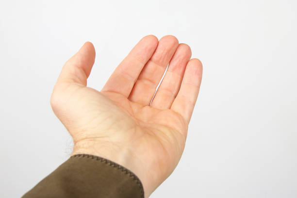istock open the palm of the hand on a light background 1133647055