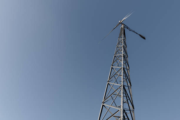 Windmill and sunflowers in evening light . Tilt shift lens used.