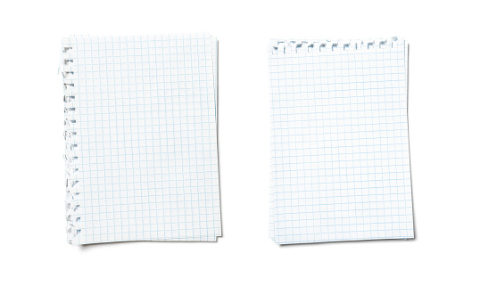 Empty sheets torn from a notebook. The ragged edge on the left and at the top. A set of paper from two different checkered notebooks.