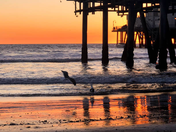 istock Sunset over the Pacific Ocean in Santa Monica, CA 1133653664