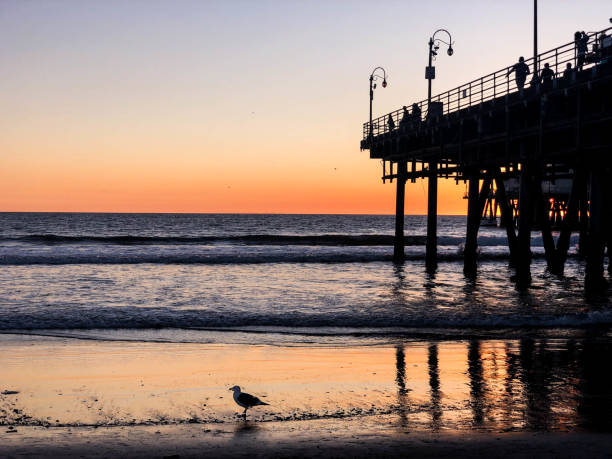 istock Sunset over the Pacific Ocean in Santa Monica, CA 1133653669