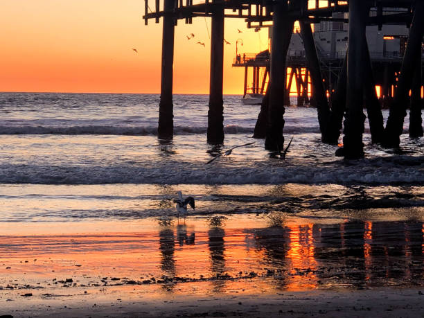 istock Sunset over the Pacific Ocean in Santa Monica, CA 1133653690