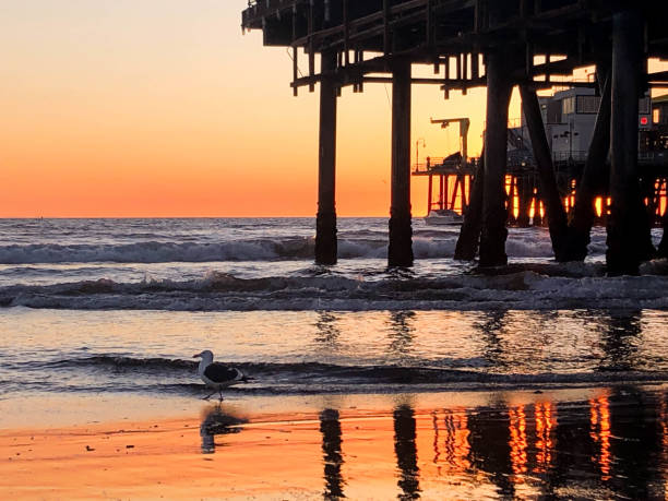 istock Sunset over the Pacific Ocean in Santa Monica, CA 1133653694