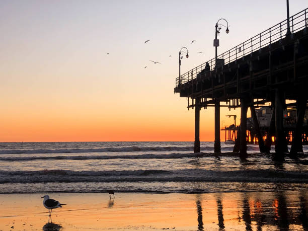 istock Sunset over the Pacific Ocean in Santa Monica, CA 1133653723