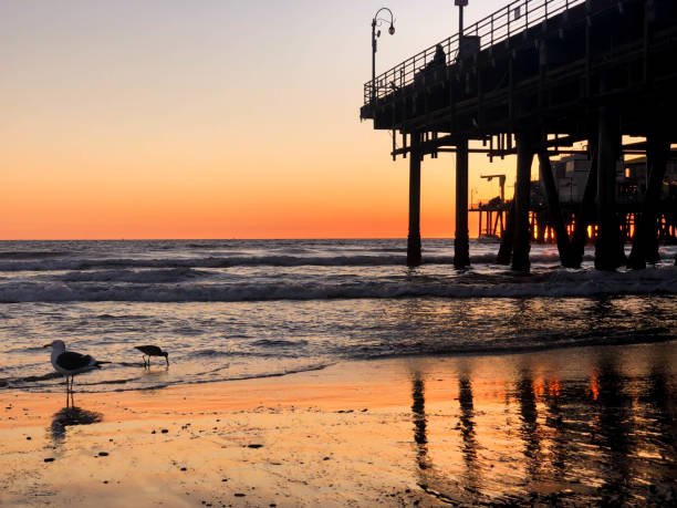 istock Sunset over the Pacific Ocean in Santa Monica, CA 1133653731