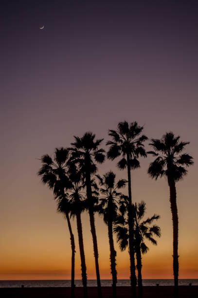 istock Sunset over the Pacific Ocean in Santa Monica, CA 1133653993