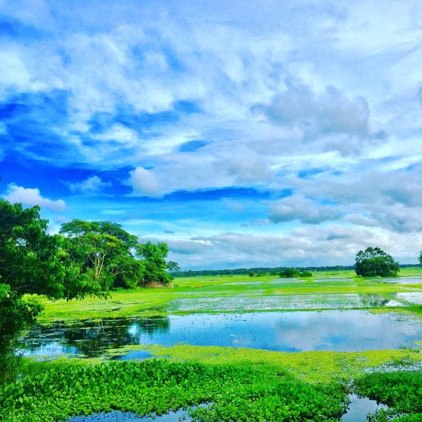 istock A beautiful sunny day in Village 1133657905