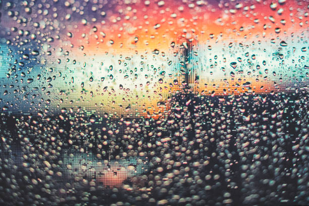 Looking through the window with fly screen after the rain in sunset