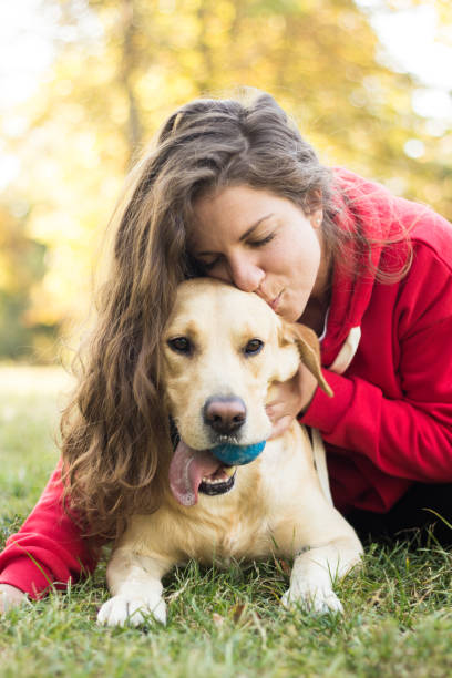 joven sonriente mujer con su lindo perro - golden retriever dog autumn leaf fotografías e imágenes de stock