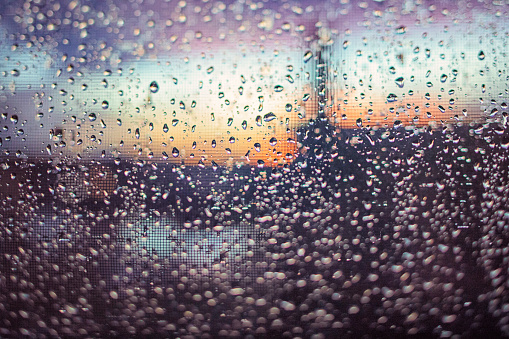 Looking through the window with fly screen after the rain in sunset