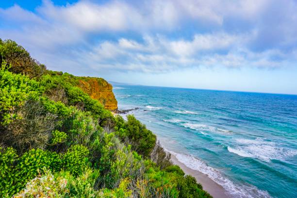 istock Seascape view and a wonderful coast in Australia 1133662939