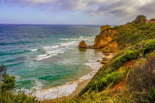 istock Seascape view and a wonderful coast in Australia 1133663884