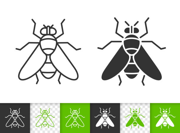 Fly insect simple black line vector icon Fly black linear and silhouette icons. Thin line sign of insect. Housefly outline pictogram isolated on white, color, transparent background. Vector Icon shape. Fly simple symbol close-up housefly stock illustrations