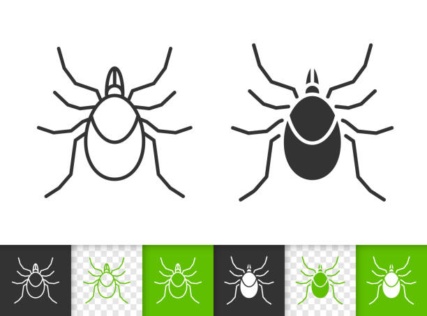 Mite tick insect simple black line vector icon vector art illustration