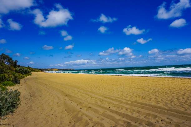 istock Seascape view and a wonderful coast in Australia 1133664456
