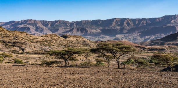 krajobraz na wyżynach lalibela, etiopia - ethiopian highlands zdjęcia i obrazy z banku zdjęć