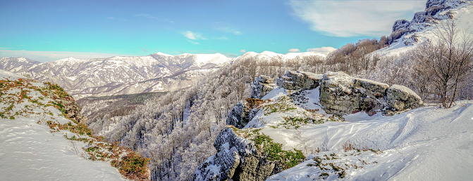 Fantastic winter panorama .Winter tree in snow.