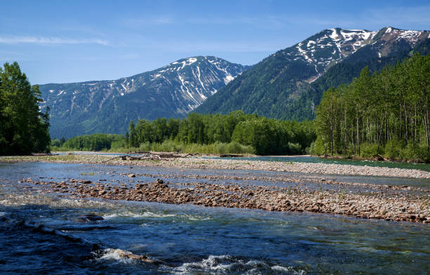 istock River Snegnaya in mountains ridge Khamar-Daban 1133669744