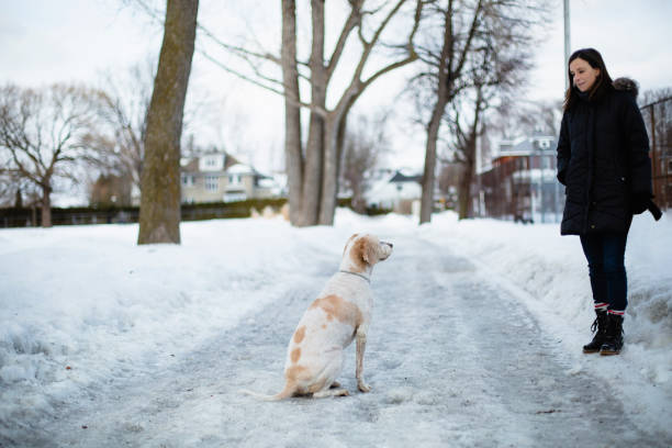 istock A woman and here dog 1133670907
