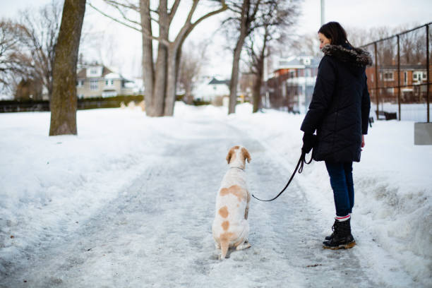 istock A woman and here dog 1133670965