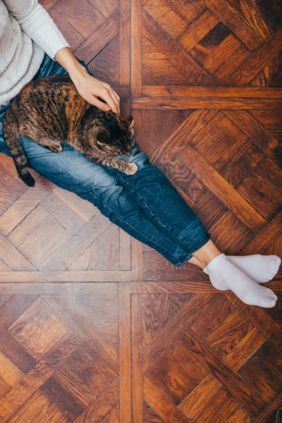 istock View from above young woman wearing blue jeans 1133671435