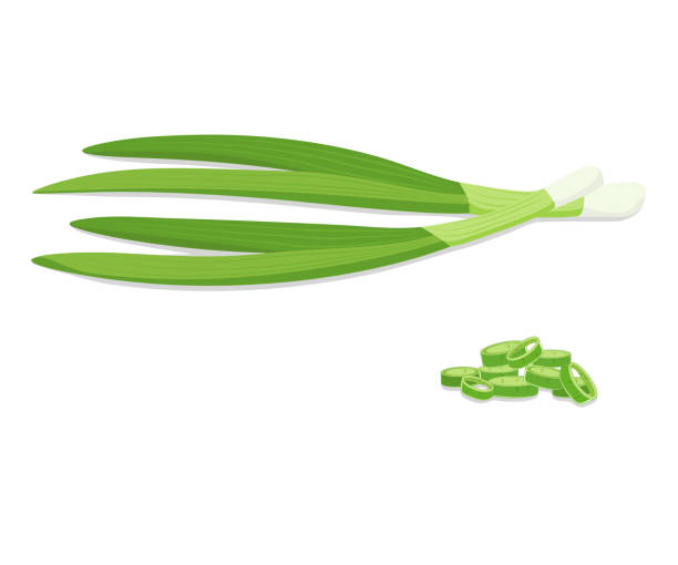 illustrazioni stock, clip art, cartoni animati e icone di tendenza di cipolle verdi fresche tritate - healthy eating onion vegetable ripe