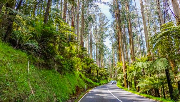 istock Wonderful outback of Australia 1133683132