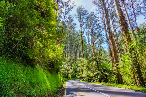 istock Wonderful outback of Australia 1133683161