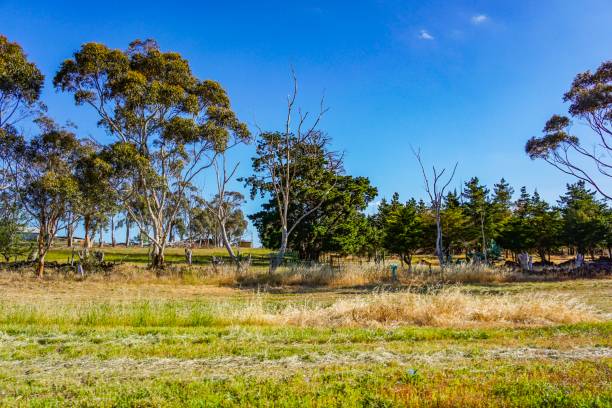 istock Wonderful outback of Australia 1133683504