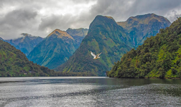 Doubtful Sound, South Island, New Zealand stock photo