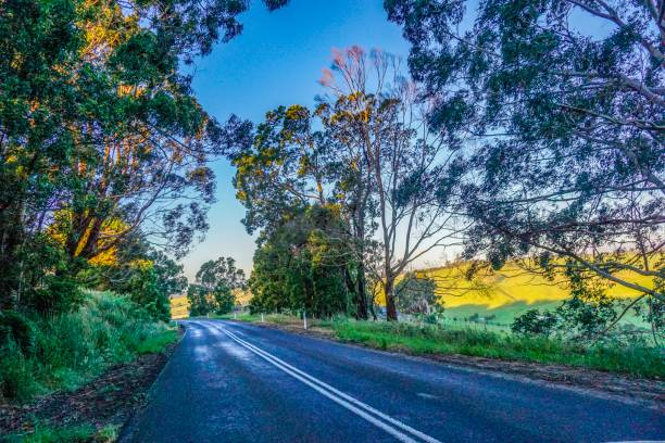 istock Wonderful outback of Australia 1133684160