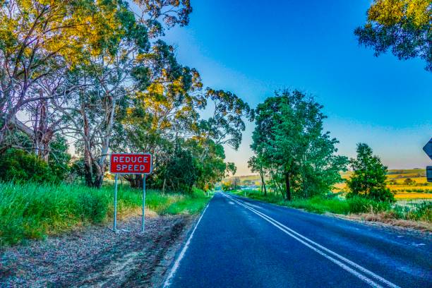 istock Wonderful outback of Australia 1133684169