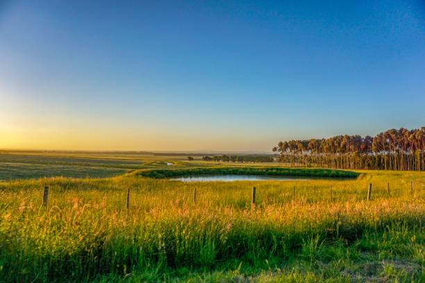 istock Wonderful outback of Australia 1133684203