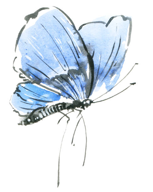 aquarell blauer schmetterling - clause stock-grafiken, -clipart, -cartoons und -symbole