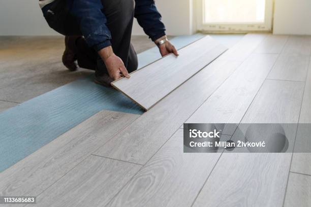 Worker Carpenter Doing Laminate Floor Work Stock Photo - Download Image Now - Flooring, Installing, Wood Laminate Flooring