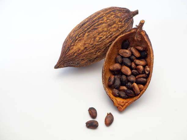 istock Cocoa pods and cocoa beans 1133689667