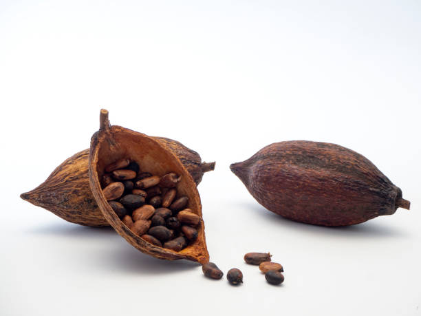 istock Cocoa pods and cocoa beans 1133689680