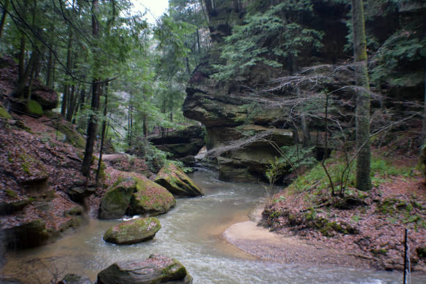 istock Ohio Rocky Woodlands and Streams 1133689766
