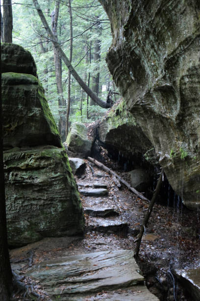 istock Ohio Rocky Woodlands and Streams 1133690474