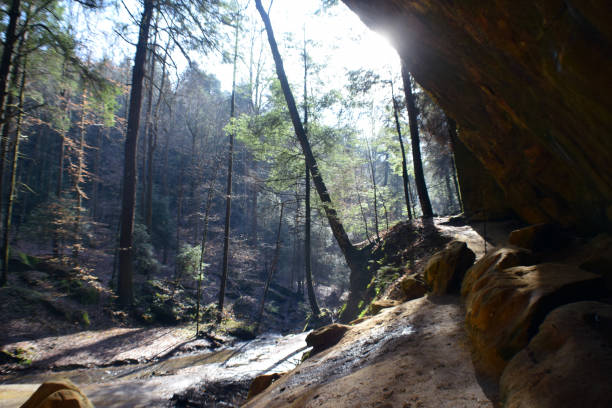 istock Ohio Rocky Woodlands and Streams 1133690489