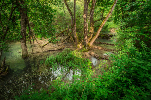 istock Bautiful lakes and waterfalls 1133692330