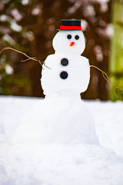 istock Snow man made on a Snowy Day 1133697214