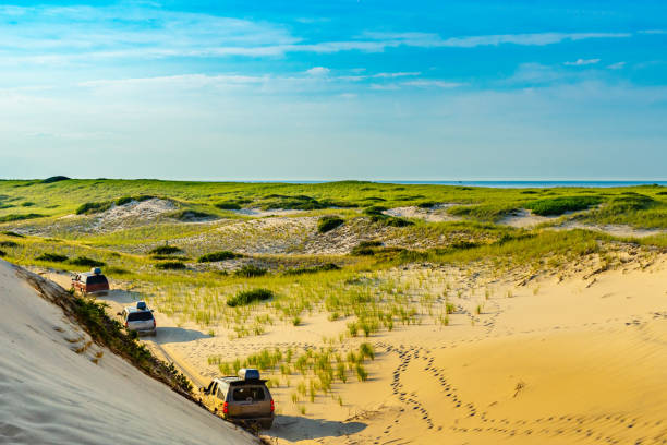 istock Sand Dunes and Grass of the Provincelands Cape Cod MA US. 1133697229